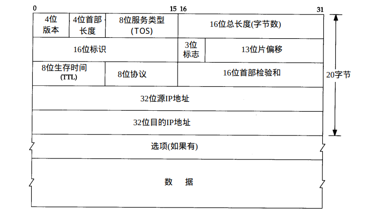 ip protocol